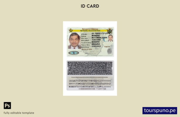 Plantilla de tarjeta de identificación de registro nacional de Zimbabwe lista pa